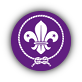 Logo WOSM